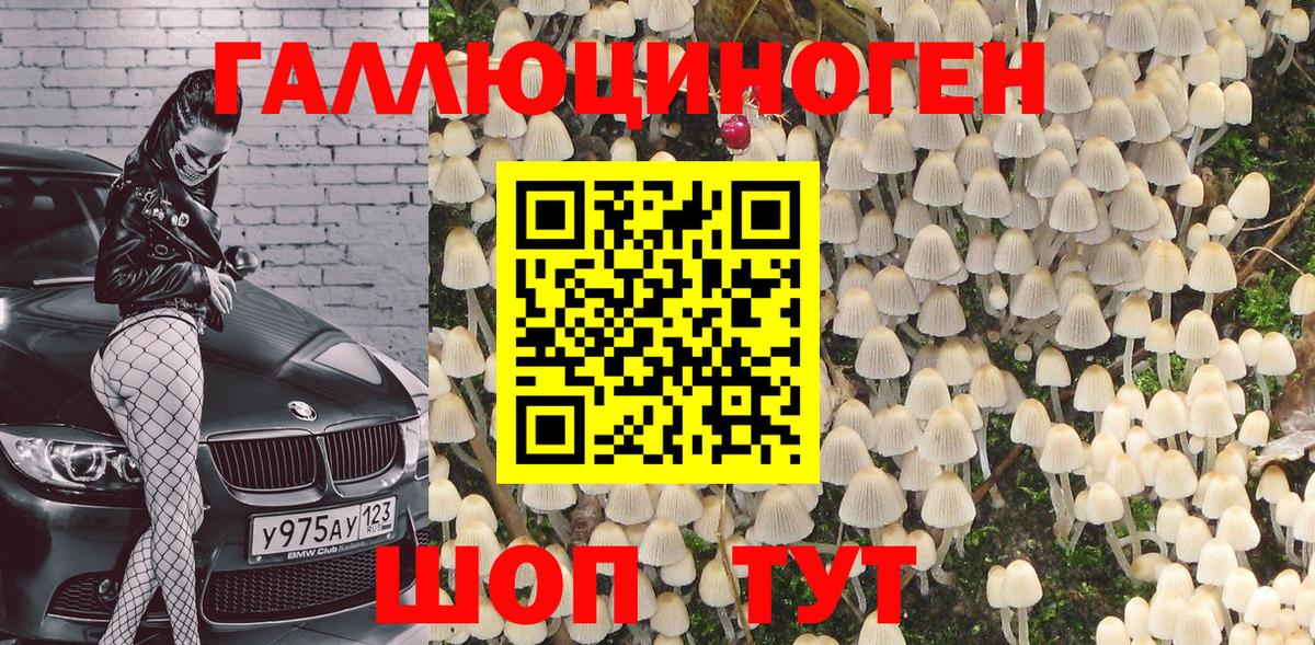 Галлюциногенные грибы Psilocybine cubensis  Вход с VPN  Электросталь 